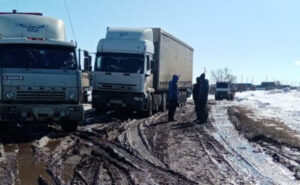 Кизилчилик