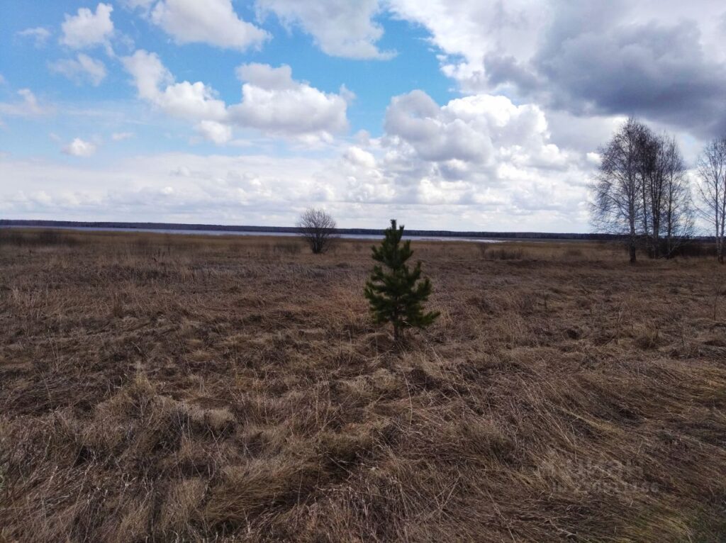 Подкорытова