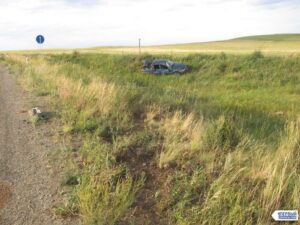 Смородинка