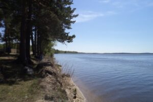 Тихомировка