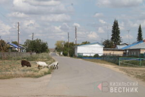 Зингейский