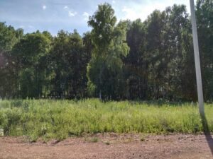 Привольный