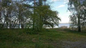 Алифкулова