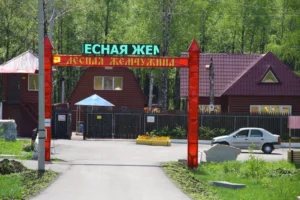 Берёзовый Мост