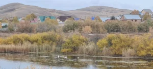 Гумбейский