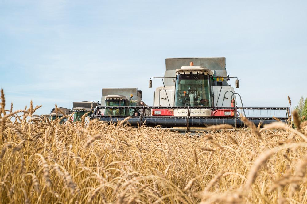 Хозяйство Тюменской области