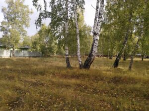 Кременкуль