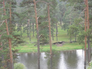 Медведевка