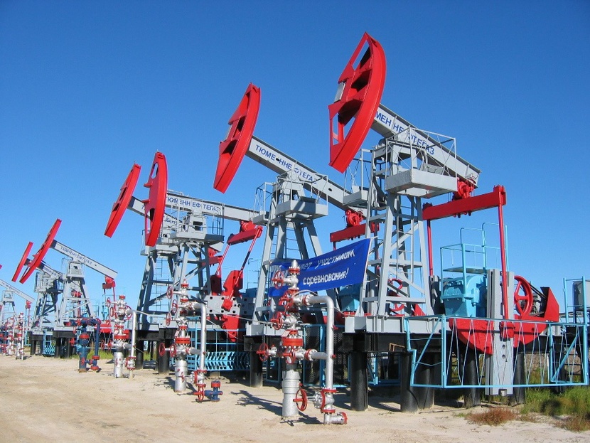 Природа Тюменской области