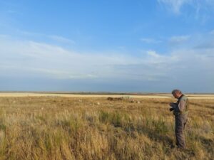 Огнеупорный