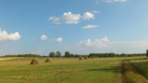 Александро-Невский