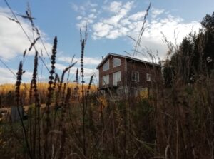 Сикиязтамак